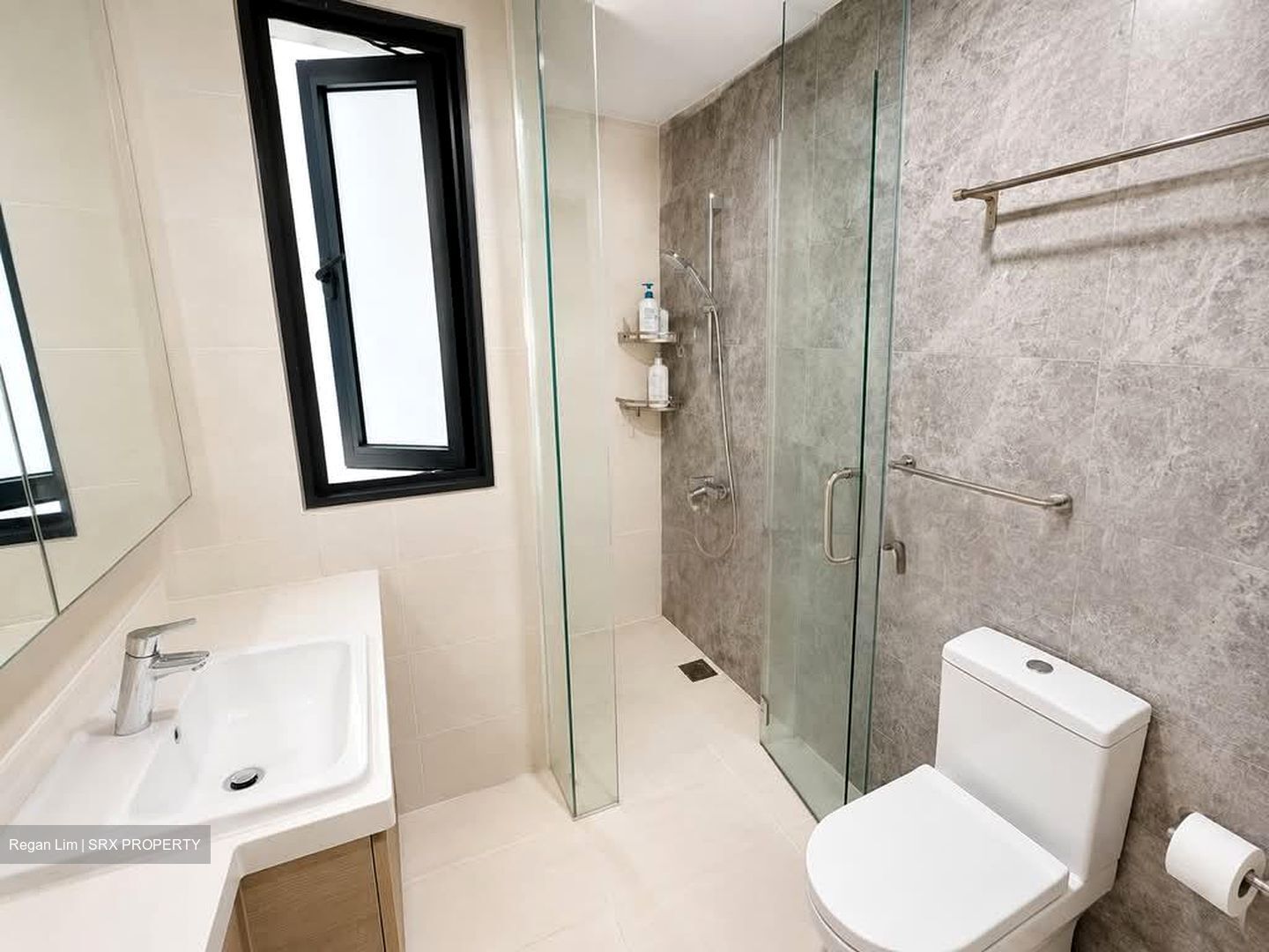 The Lakefront Residences (D22), Condominium #558854121